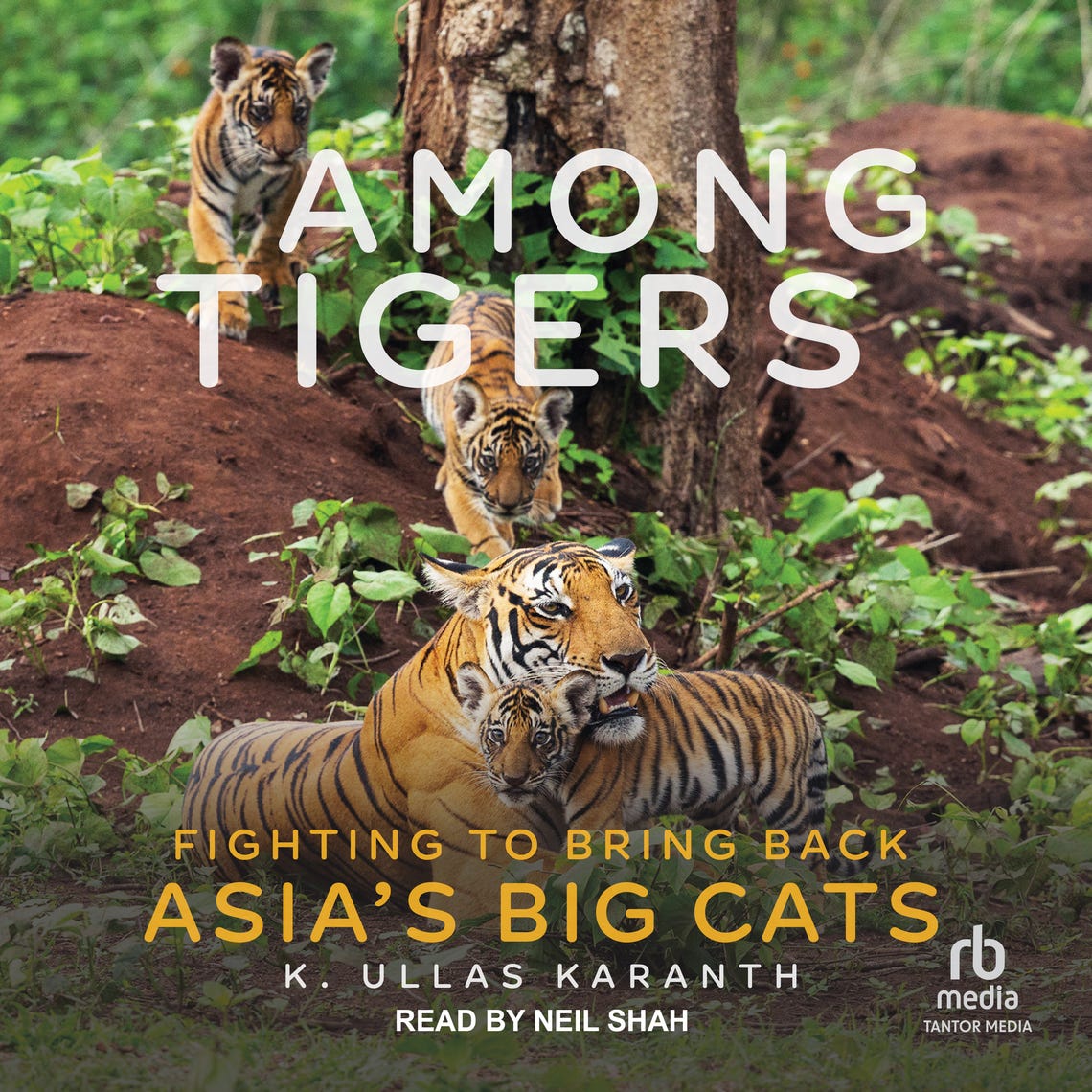 Among Tigers by K. Ullas Karanth - Audiobook | Everand
