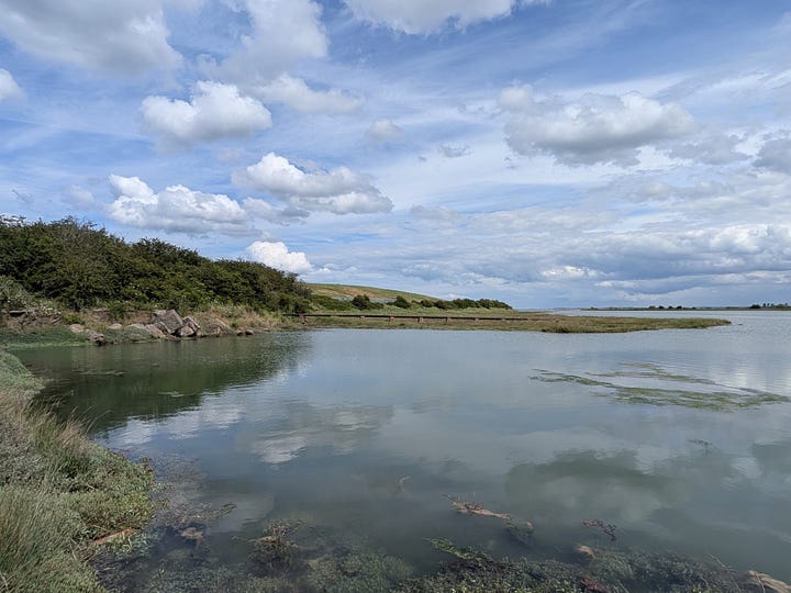 Photos of still water reflecting clouds, and marshy riverbanks overgrown with plants