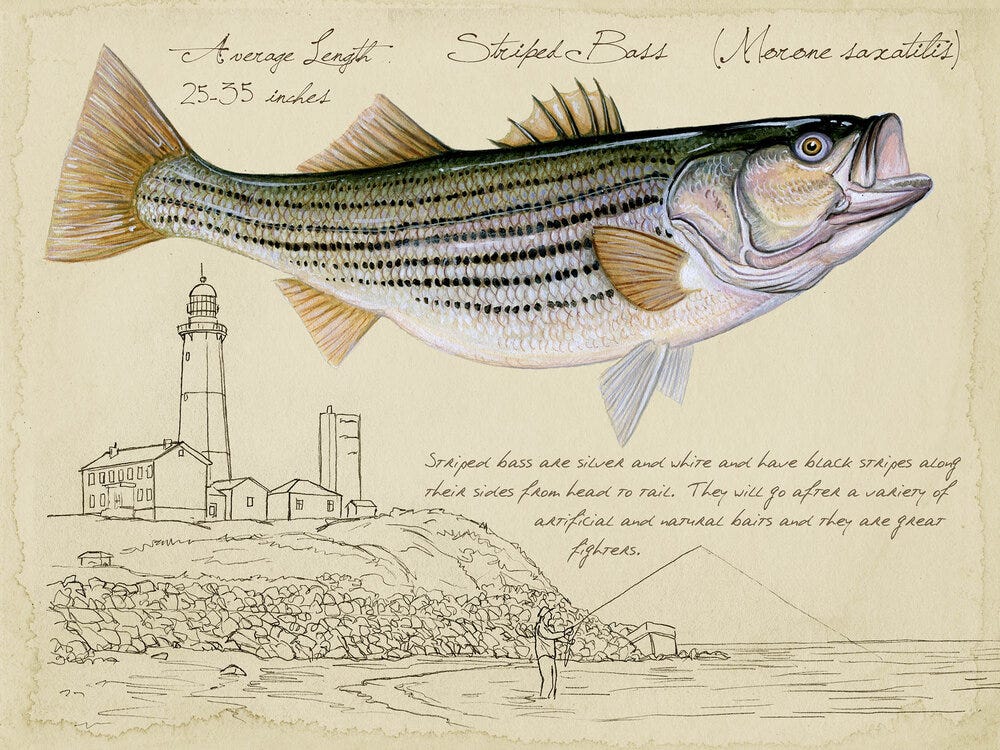 A fish and a lighthouse

Description automatically generated