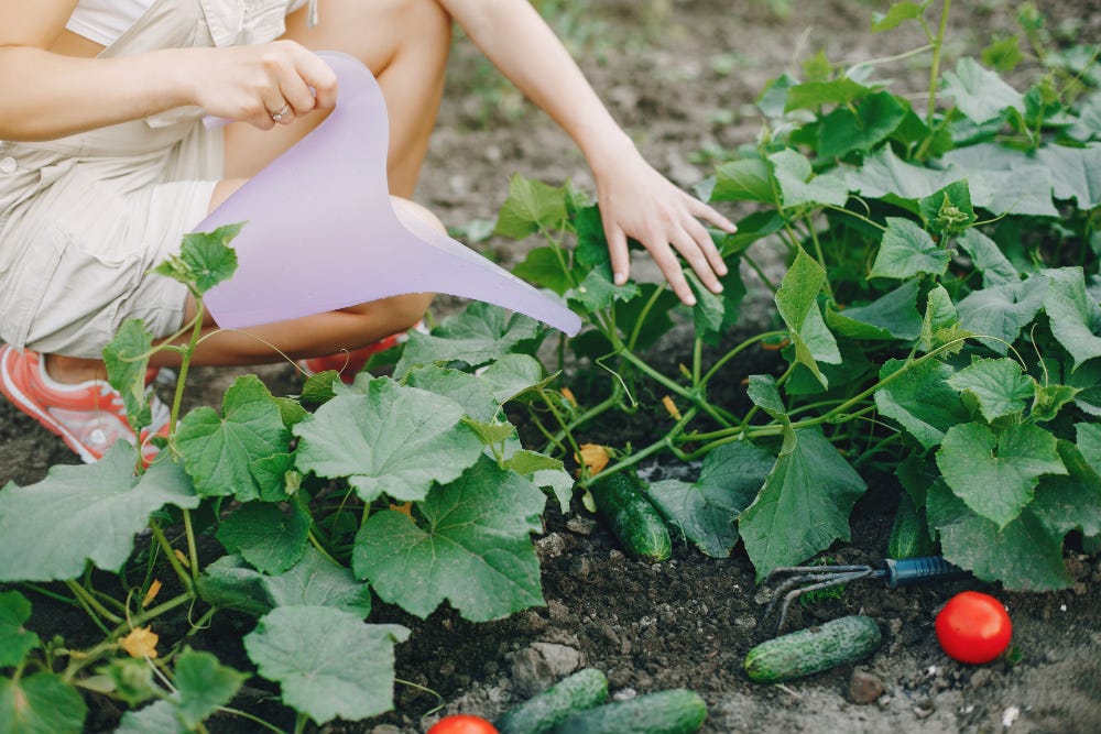 Young woman gardening.