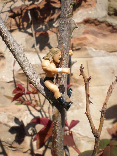 HHH hugs a tree HHH hugs a tree