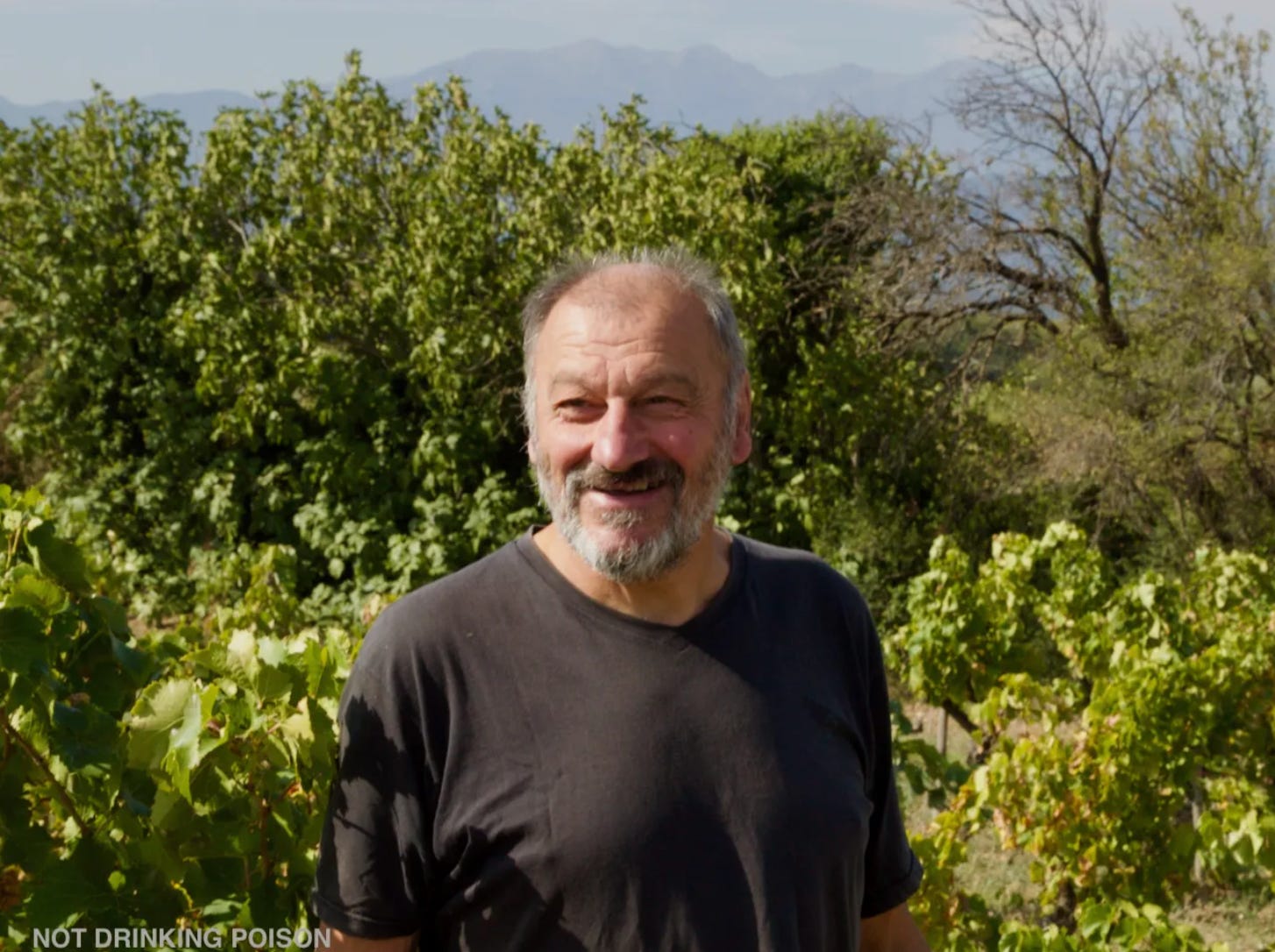 https://notdrinkingpoison.substack.com/p/remembering-alain-castex?r=b5j4p&utm_medium=ios&utm_campaign=post