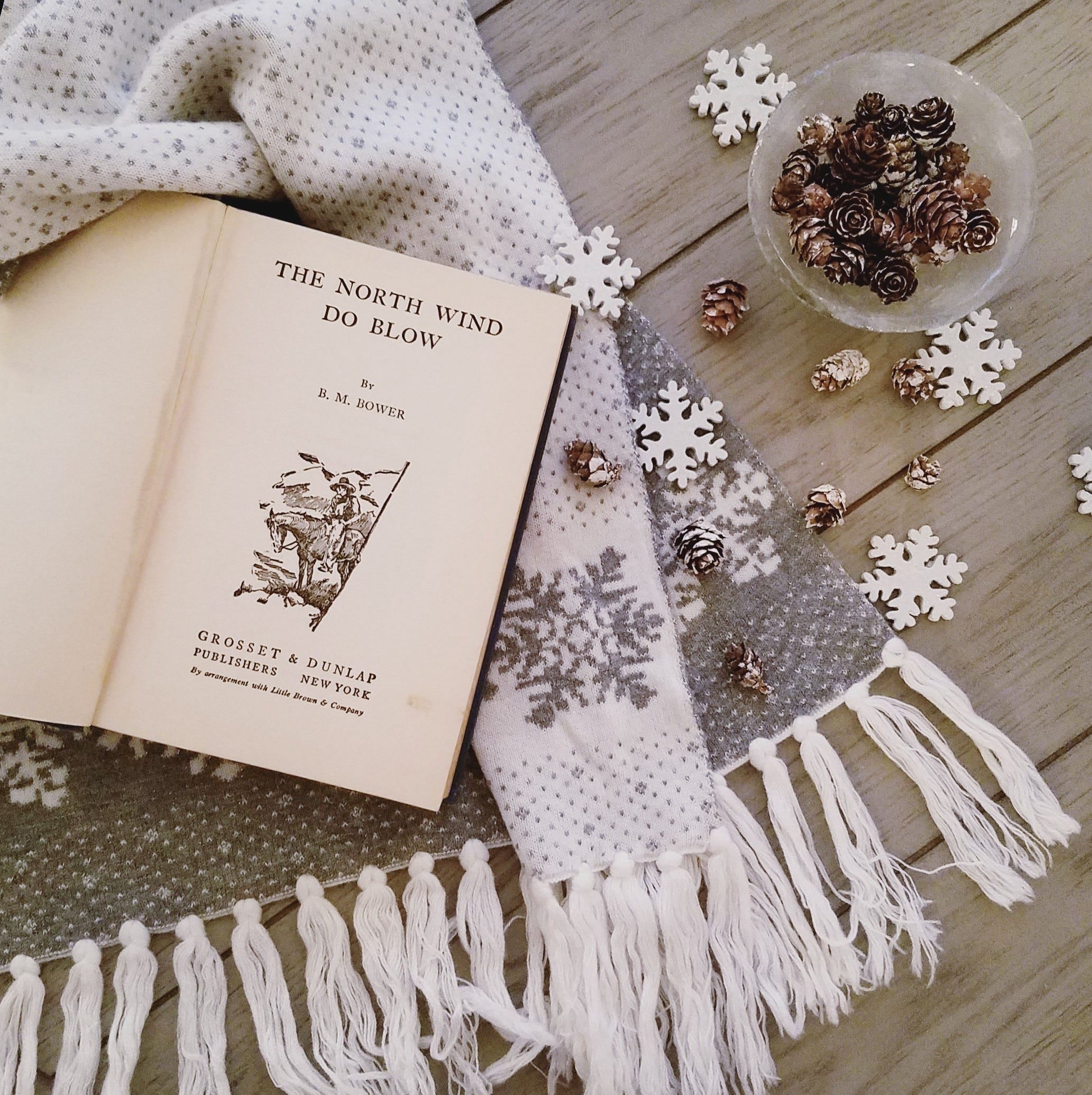 Snow Between the Pages - by Elisabeth Grace Foley