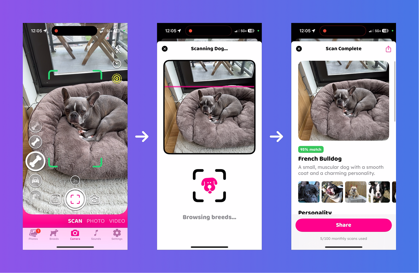 🚀 Major Update: DogCam Gets AI Breed Prediction 🚀 Major Update: DogCam Gets AI Breed Prediction