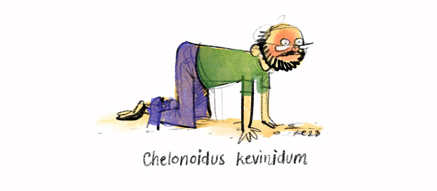 Kevin as Tortoise