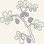 Fig Tree Findings