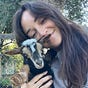 Sarah Q's avatar