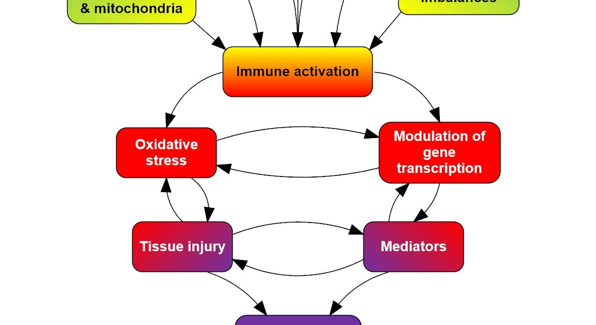 Hormone Imbalances cause Inflammation and contribute to AUTOIMMUNITY; Inflammation causes Endocrine dysfunction: Exploring Part6 of my FINDSEX® acronym