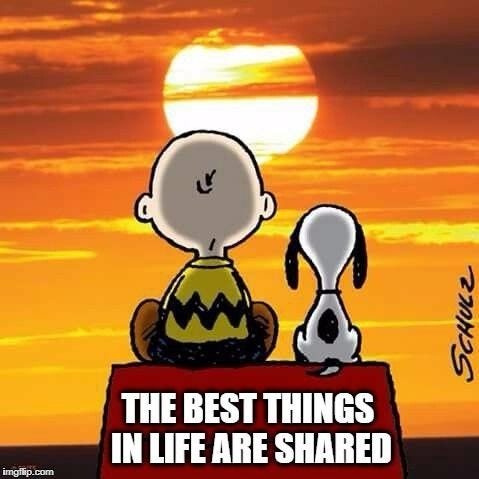 sharing Memes & GIFs - Imgflip