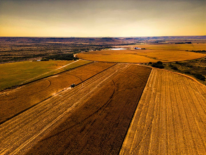 Inside the upcoming exclusive photo book, you'll find stunning images of Orania's surrounding farmlands, capturing the breathtaking beauty of the region. The photo book will not only showcase these captivating visuals but also provide insightful text, revealing the life and spirit of Orania in its entirety. By upgrading to a paid subscription, you'll not only support our work but also gain access to this unique and immersive experience of Orania, a true gem in South Africa.