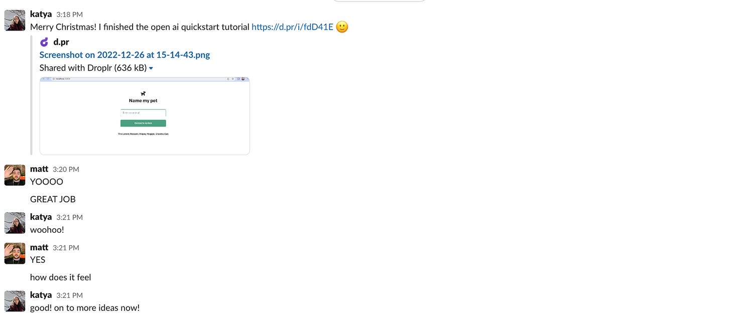 Katya shares webapp with CEO and he is happy
