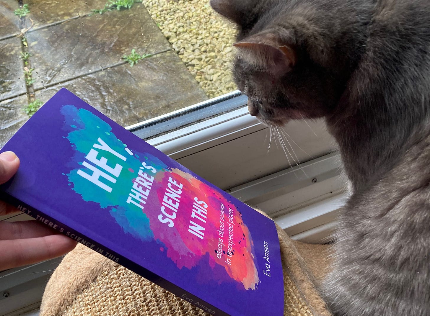 a cat is looking at a book called "He, There's Science In This"