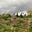 The allotment project's avatar