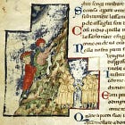 Melting Snow, Ancient Pines, Uprooted Oaks