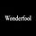 Wonderfool