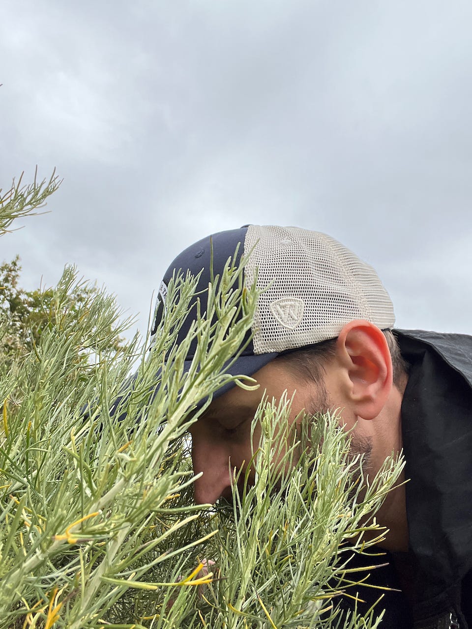 A person in a hat smelling a plant

Description automatically generated with low confidence