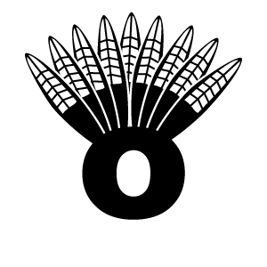 Il Substack di Nazione Indiana