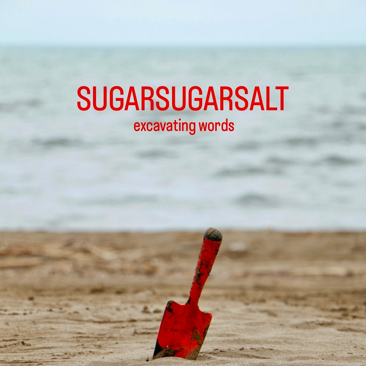 SugarSugarSalt Lit Magazine