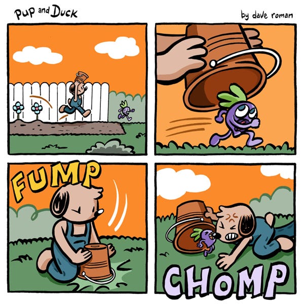 Pup chases the radish around the backyard, running through his garden. Finally, he is able to trap the radish under a bucket with a FUMP. Carefully looking under to see the radish, Pup lifts the lid to reveal an angry radish! He bit Pup’s nose with a CHOMP!