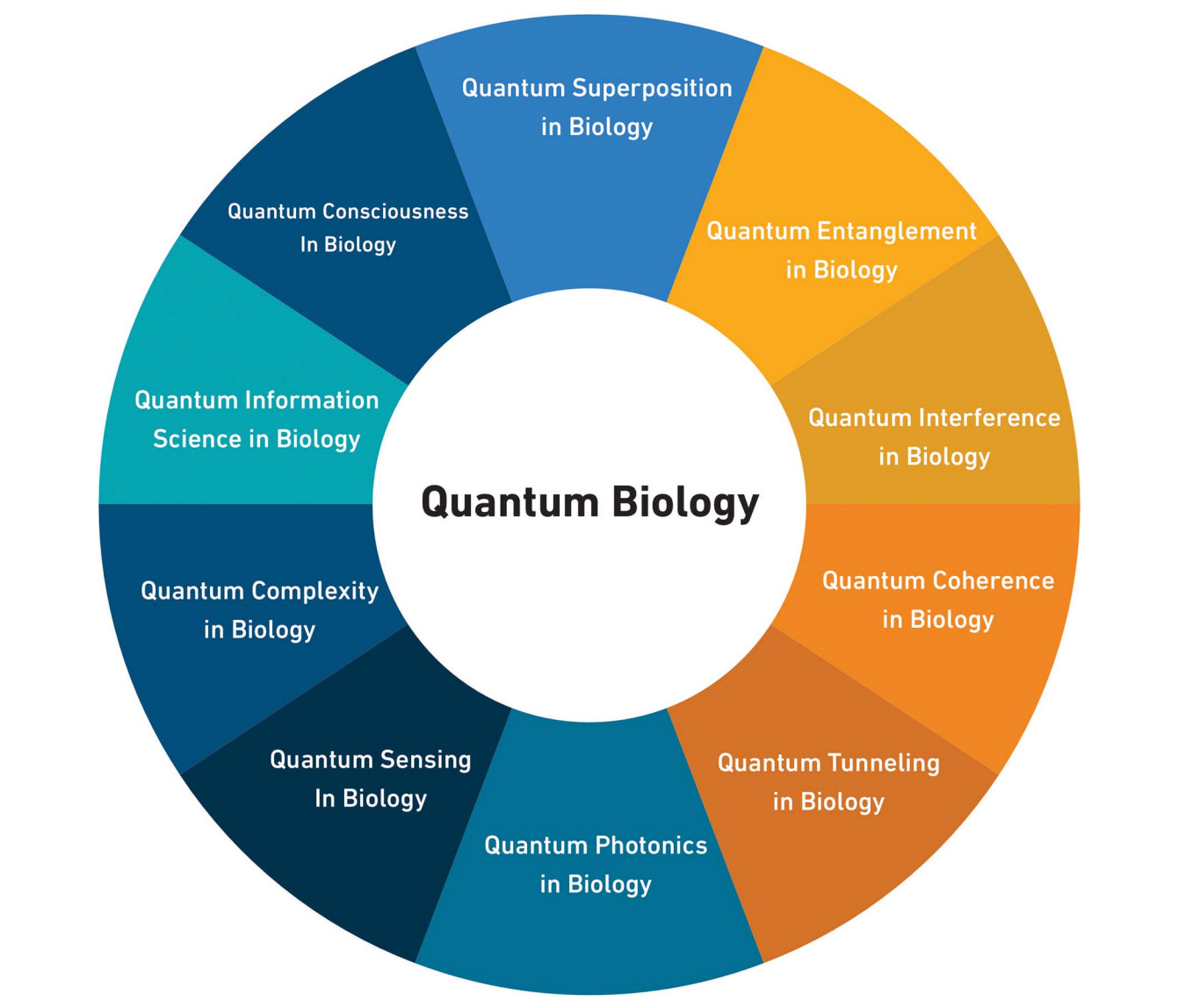 A circle of the different applications of quantum in biology. A circle of the different applications of quantum in biology.