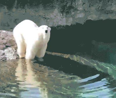 We Got Your Intangible Cultural Heritage Hanging! Tabs, Fri., Dec. 12, 2025