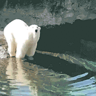 We Got Your Intangible Cultural Heritage Hanging! Tabs, Fri., Dec. 12, 2025