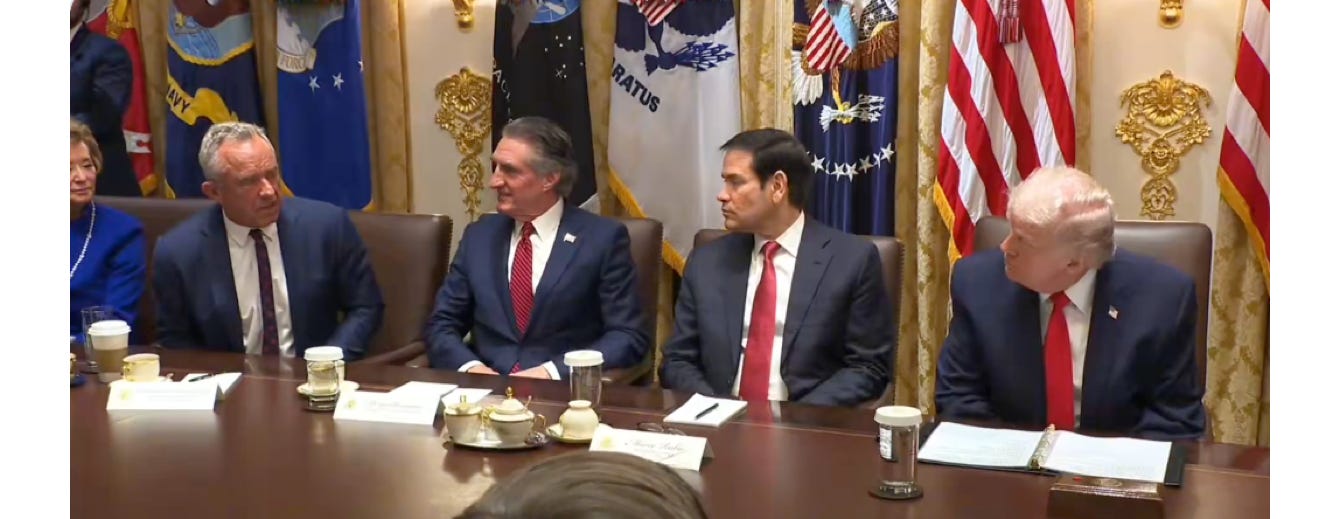 image 13.png image 13.png