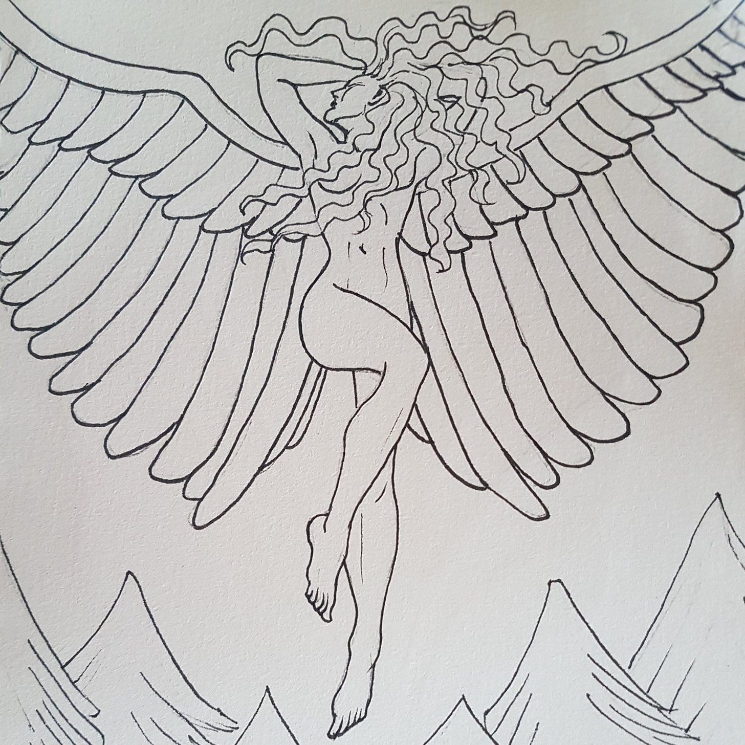 20241221_141801.jpg