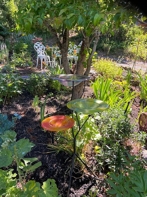 Garden Party photos