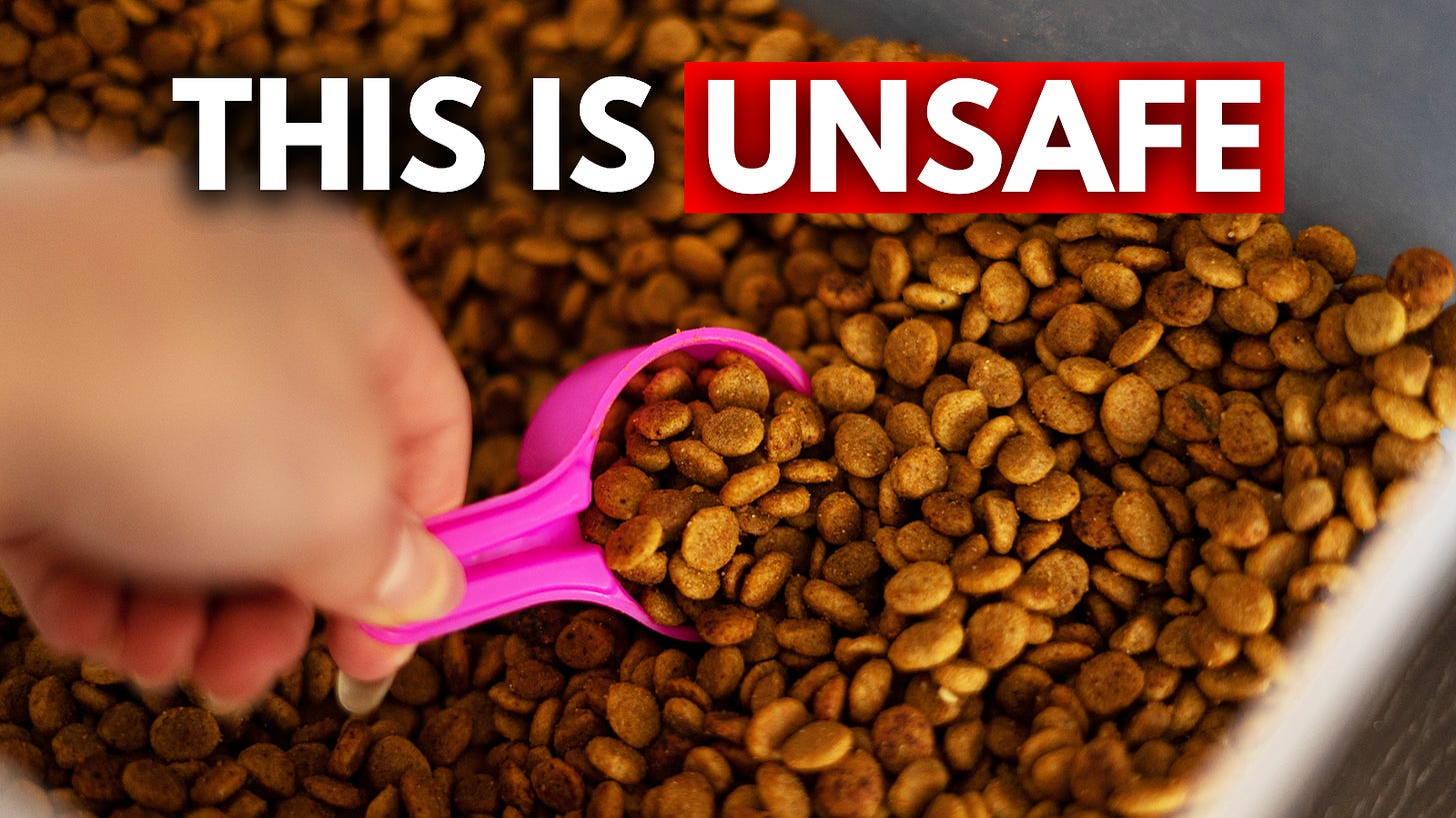 The SHOCKING Truth About Storing Kibble