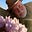 William Witt's avatar
