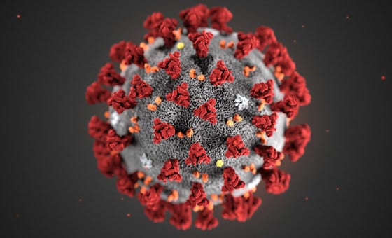Picture depicting the COVID-19 virus. 