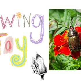 Drawing Joy | Visual Journaling No.2