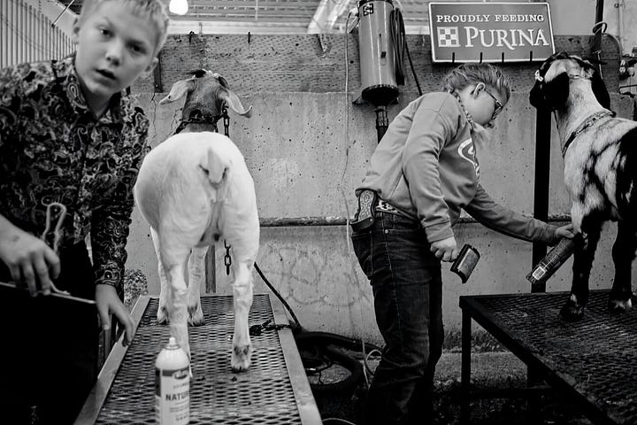 On left three girls display chickens. On Right a boy displays a goat.