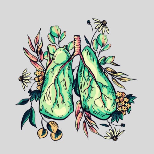 Cadernos Abertos na Margem do Mundo