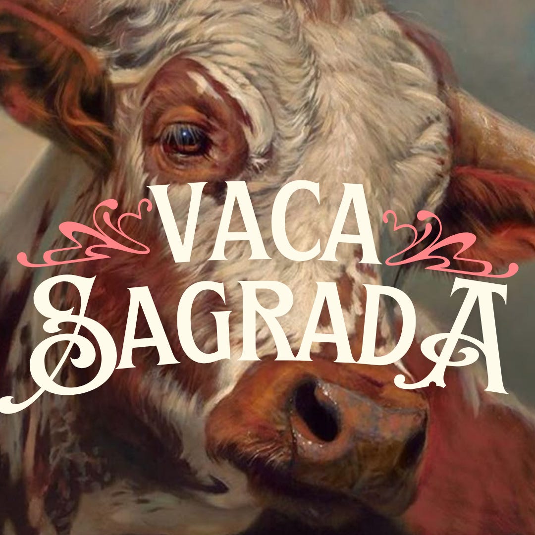 vaca sagrada