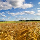 The Seeds of Civilization: How Biogeography Chose Humanity’s First Winners