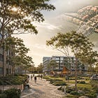 Here's what you need to know about Shellharbour's big rezoning