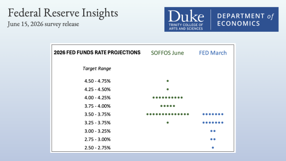 A view of the dot plot from the survey. 