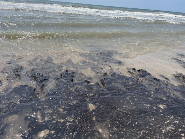 r/NorthCarolina - What is this? N Topsail Beach.  Black, slimy