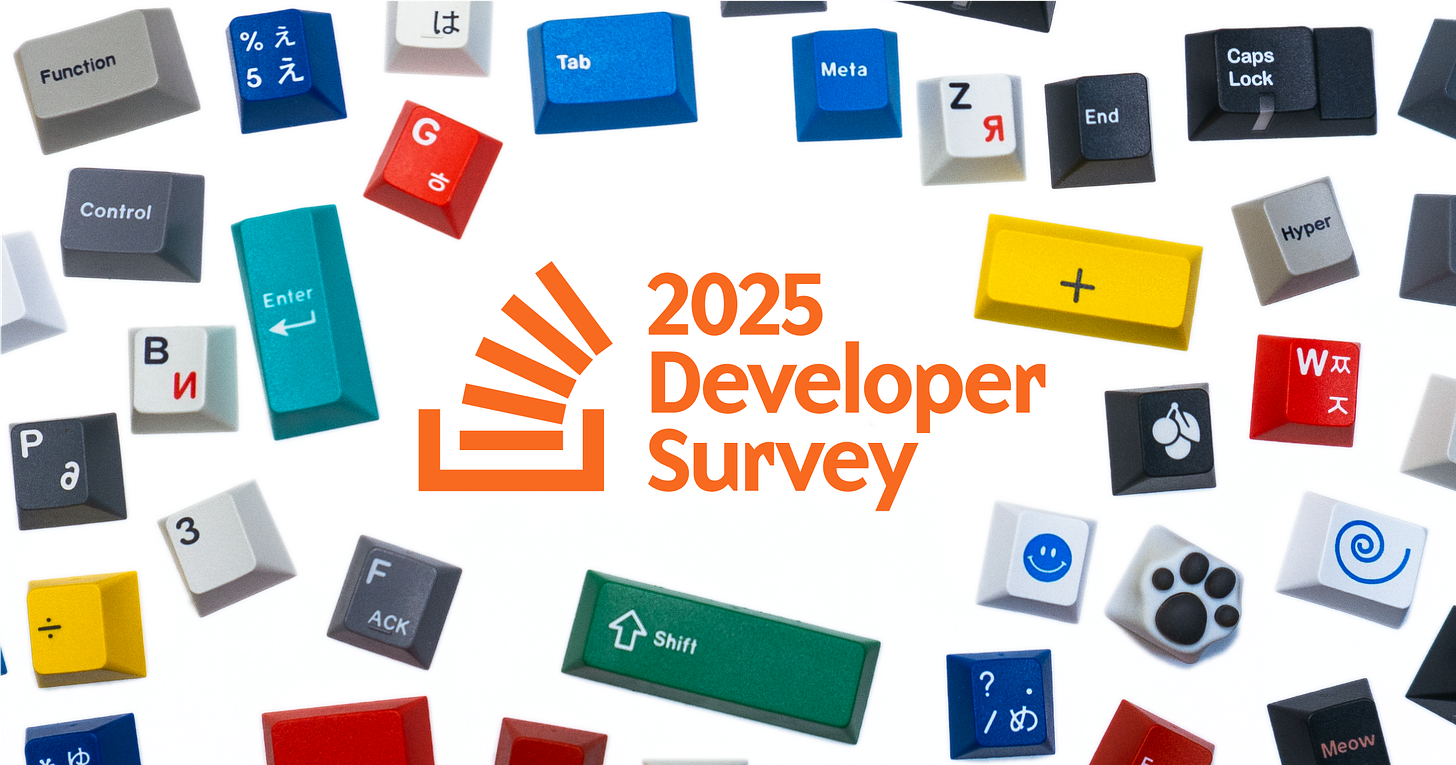 The 2025 Stack Overflow Developer Survey Banner