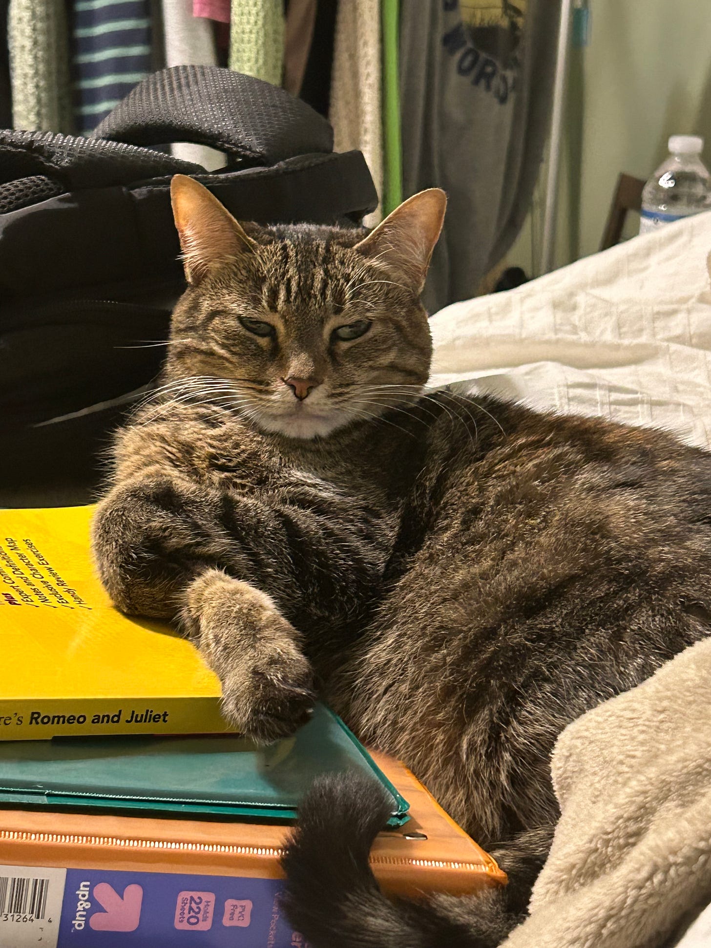 Gray tabby cat lounging on a stack of books, one paw draped over a yellow book, looking grumpily at the camera in a cozy bedroom setting.