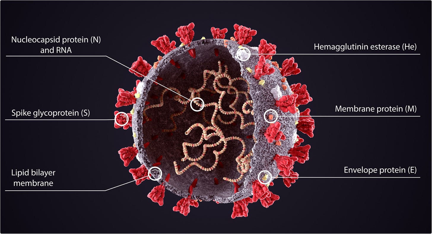 Study: Nucleocapsid antibody positivity as a marker of past SARS-CoV-2 infection in population serosurveillance studies: impact of variant, vaccination, and choice of assay cut-off. Image Credit: Orpheus FX / Shutterstock Study: Nucleocapsid antibody positivity as a marker of past SARS-CoV-2 infection in population serosurveillance studies: impact of variant, vaccination, and choice of assay cut-off. Image Credit: Orpheus FX / Shutterstock