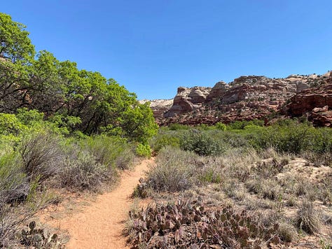 waterfall and trail scenes