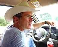 Bushpickup Bushpickup