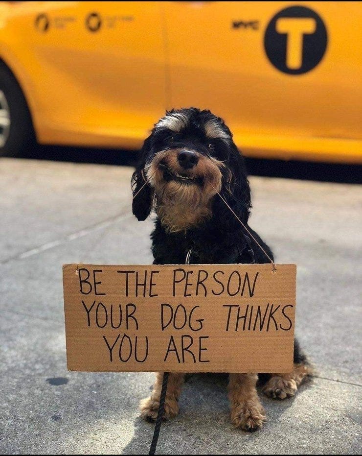To our dogs, we are gods. This power should not be taken lightly.