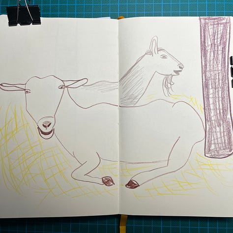 Photos des 3 doubles-pages de mon sketchbook où j'ai dessiné des chèvres, deux par double-page.