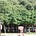 Joy Frew's avatar