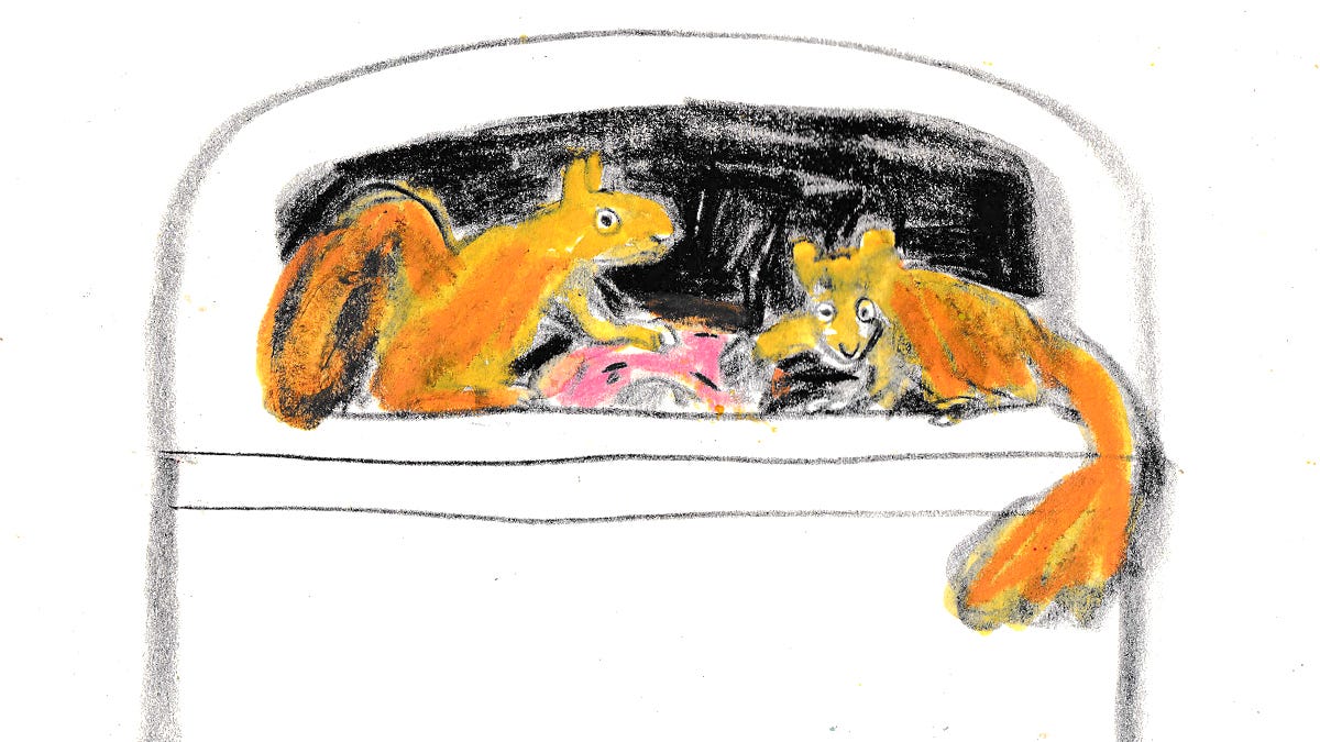 squirrels in a trashcan illustration by beth spencer