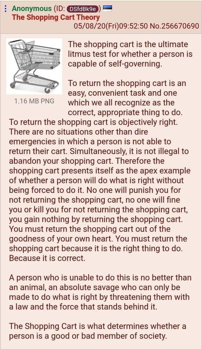 This may contain: the shopping cart theory is shown in this screenshot from an email message to customers